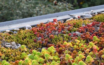 the cost of Duffieldbank green roof installation