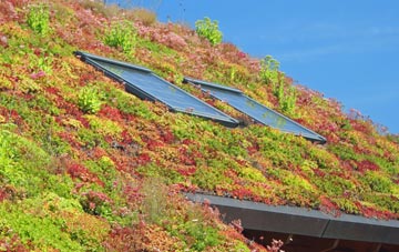 Duffieldbank living roof systems